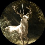 Telegram profile photo for Sancta sanctorum /архив/