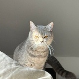 Telegram profile photo for А