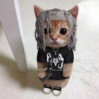 Telegram profile photo for Drixatta спустился с небес