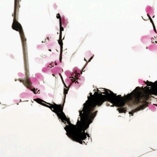 Telegram profile photo for переходник