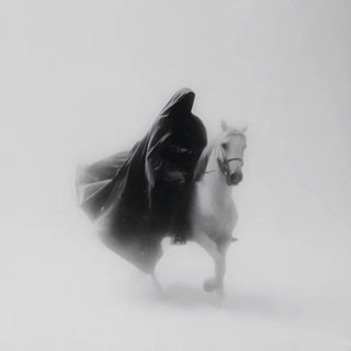 Telegram profile photo for Adapter