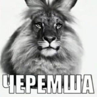 Telegram profile photo for перезапуск 𝓽𝓱𝓮 𝓯𝓲𝓻𝓼𝓽 𝓯𝓵𝓸𝔀𝓮𝓻, лайф не является действительным