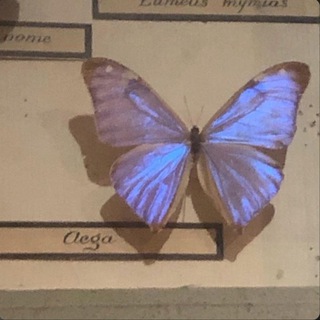Telegram profile photo for 𝑻𝑨𝑩𝑳𝑰𝑸𝑨𝑻