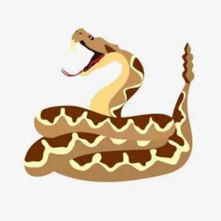 Telegram profile photo for 蟒蛇/VPN/主频道