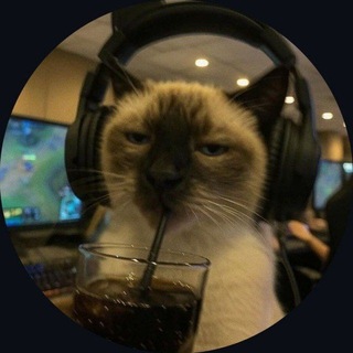 Telegram profile photo for ɬ𑲭𑲭𑲭𑲭𑲭𑲭𑲭𑲭𑲭𑲭𑲭𑲭𑲭𑲭𑲭𑲭𑲭𑲭𑲭𑲭𑲭𑲭𑲭𑲭𑲭𑲭𑲭𑲭𑲭𑲭𑲭𑲭𑲭𑲭𑲭𑲭𑲭𑲭𑲭𑲭𑲭𑲭𑲭𑲭𑲭𑲭𑲭𑲭 ̷R̷a̷n̷d̷o̷m̷B̷y̷t̷e̷𓁟 ـࣧࣧࣧࣧࣧ