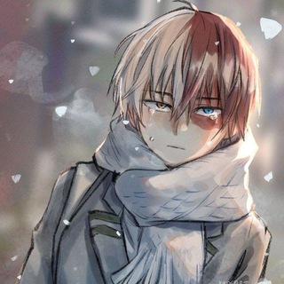 Telegram profile photo for Shoto Todoroki
