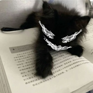Telegram profile photo for πππ`π πππππ?
