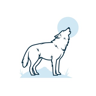 Telegram profile photo for Wolf Ofertas - Promoções 🛍