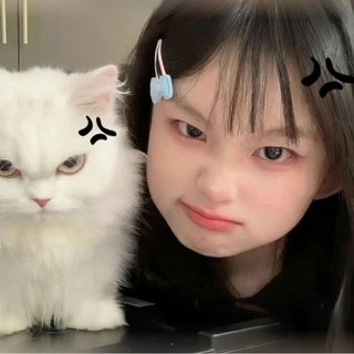 Telegram profile photo for 闽南日报资源分享频道