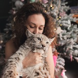 Telegram profile photo for KatyaBobCat(Бытовуха)