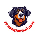 Telegram profile photo for АСТРАХАНЬ "ПРЕДАННЫЙ ДРУГ"🐶