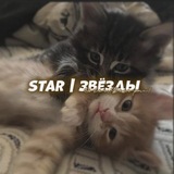 Telegram profile photo for #ꜱᴛᴀʀ