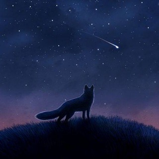 Telegram profile photo for Лиса на орбите