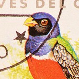 Telegram profile photo for Guantanamera