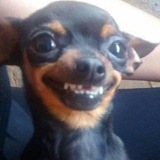 Telegram profile photo for (заморожены.)ʜʏʙʀɪᴅsᴋʏᴇ. ²⁶