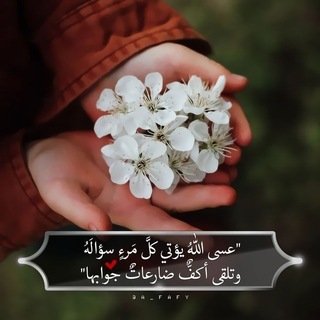 Telegram profile photo for قصص الدعاء وذكر الله🌴