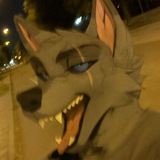 Telegram profile photo for Волчьи истории 16/18+