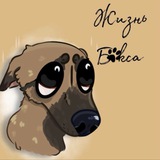 Telegram profile photo for Жизнь Бакса🐾