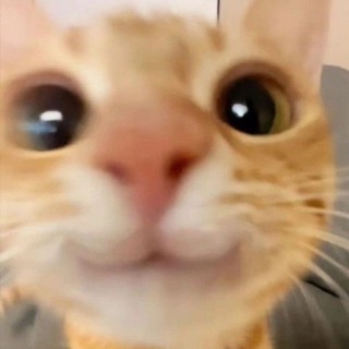 Telegram profile photo for КТЯ