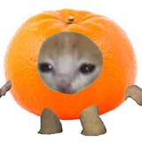 Telegram profile photo for 🍻мандариновий сидр🍊