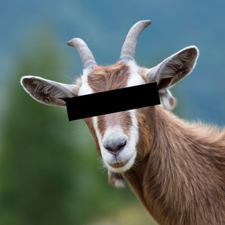 Telegram profile photo for 哎有趣时间