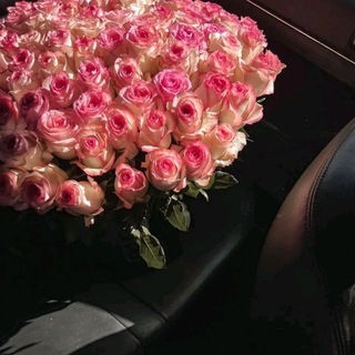 Telegram profile photo for ﮼سُـوما،الخيالِي.
