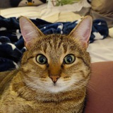 Telegram profile photo for Распродажа у Кешью