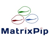 Telegram profile photo for MATRIXPIP FX 💰