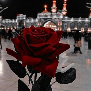 Telegram profile photo for ستوريات ورمزيات حسينية