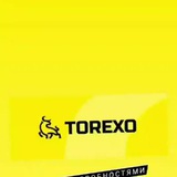 Telegram profile photo for TOREXO