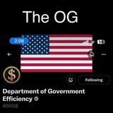 Telegram profile photo for OG DOGE (department of gov effciency)