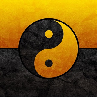 Telegram profile photo for Voluntarismus - Archiv
