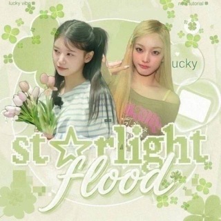 Telegram profile photo for ✧ 𝒮tarlight 𝒻l𐐫𐐫d 𝕚𝕟𝕗𝕠 ࿔ 🍀