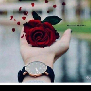 Telegram profile photo for ممبر