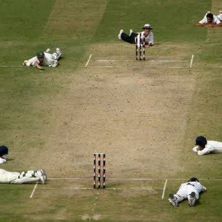 Telegram profile photo for Funny Cricket Videos