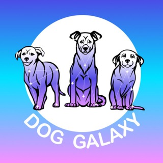Telegram profile photo for Dog galaxy