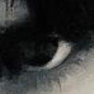 Telegram profile photo for sidesidesideside