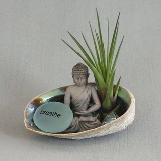 Telegram profile photo for Guided Meditation by Chaw