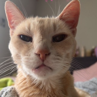 Telegram profile photo for everyday is a wonderful day