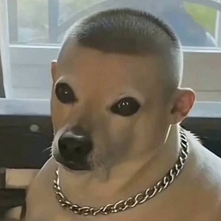 Telegram profile photo for Круглосміх