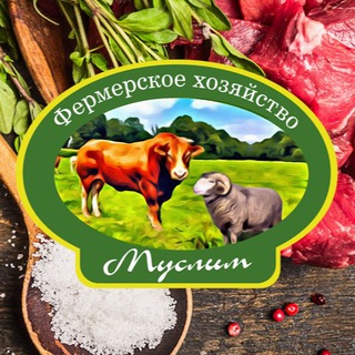 Telegram profile photo for Фермерское хозяйство «МУСЛИМ»