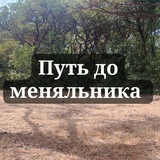 Telegram profile photo for •Путь до меняльника 🌻