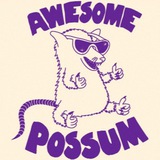 Telegram profile photo for Awesome Possum Hits📻