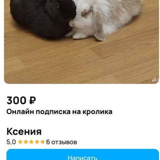 Telegram profile photo for Онлайн подписка на кролика 300Рэ