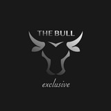 Telegram profile photo for The Bull PSF