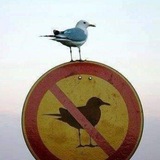 Telegram profile photo for arkana 2.0