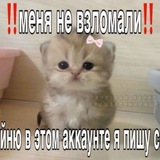 Telegram profile photo for Настя лудит