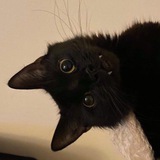 Telegram profile photo for πππππ«π§π’π’ππ²π²