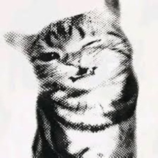 Telegram profile photo for bibika