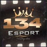 Telegram profile photo for 134 | ESPORT